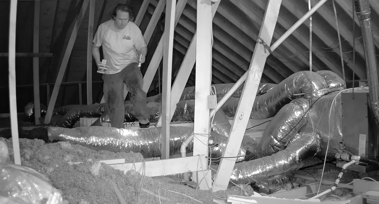 Rat Removal McKinney