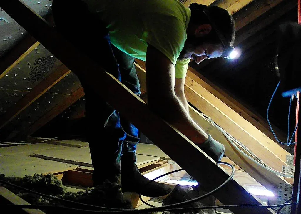 Rat Removal McKinney