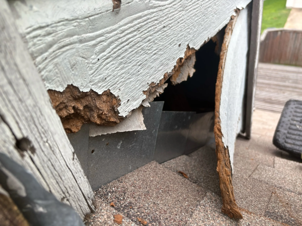 Wildlife Removal Oklahoma City