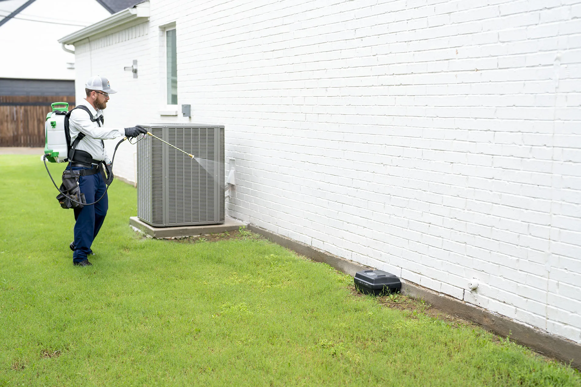 Professional Mosquito Control Carrollton for a Safer, More Comfortable Home