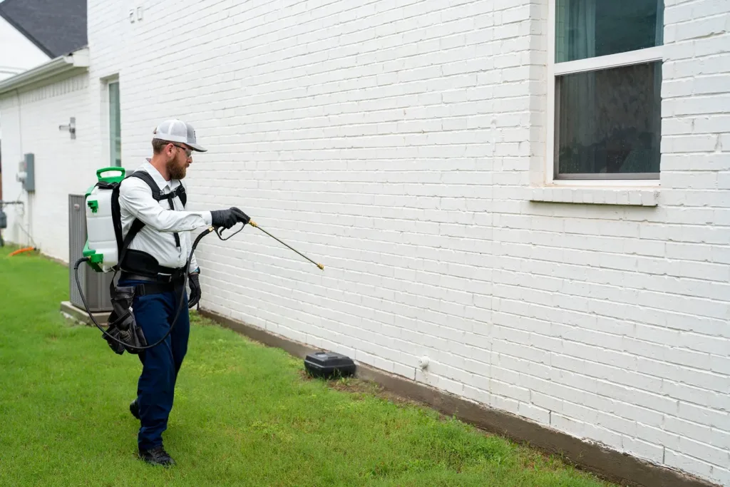 Pest Control Colleyville