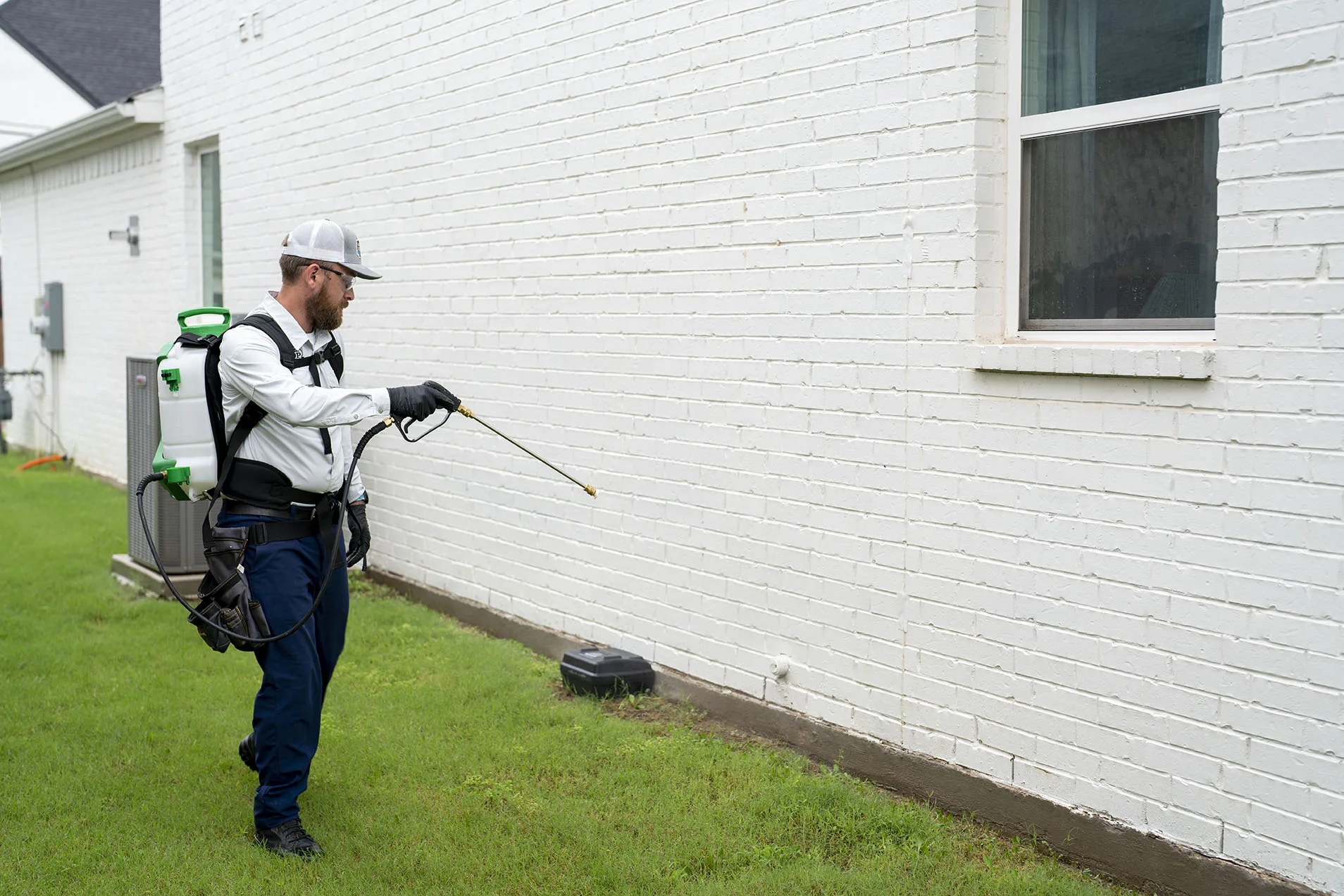 Pest Control Colleyville