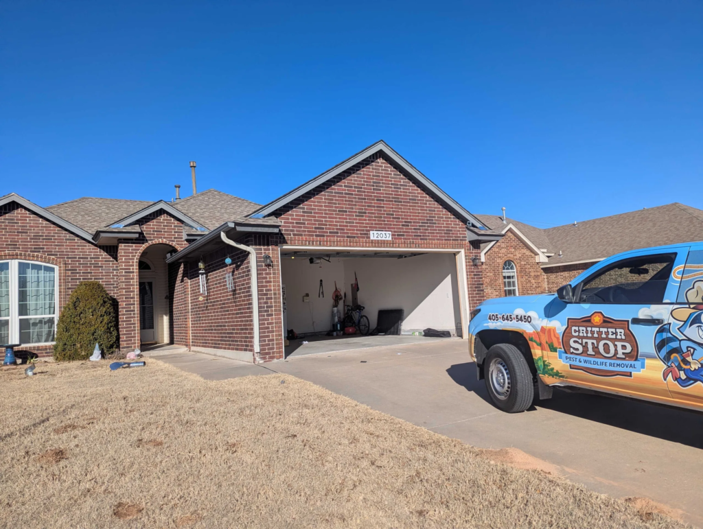 Pest Control Saginaw