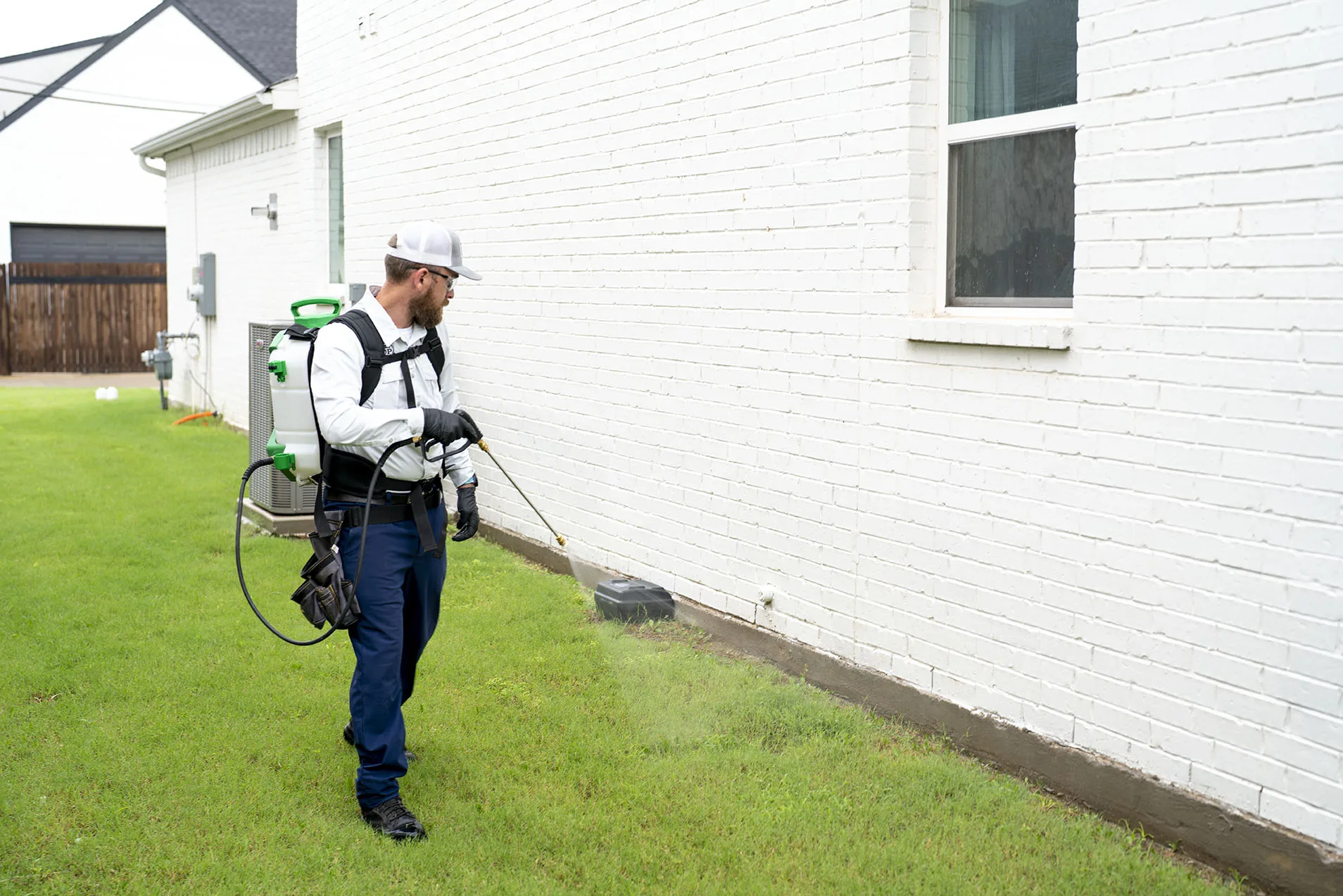 Ant Control Dallas