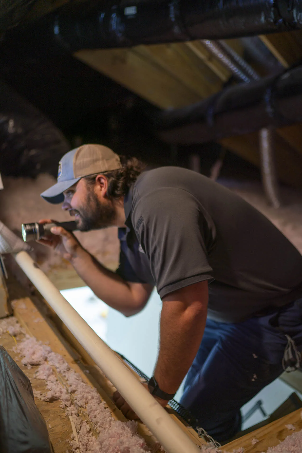 Dallas Raccoon Removal