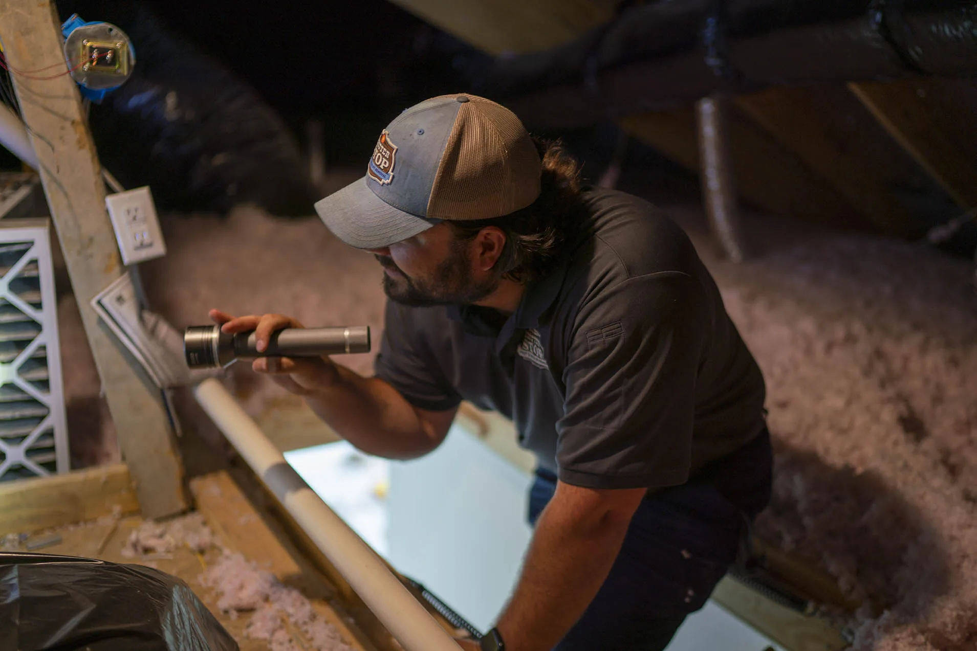 Pest Control Highland Park