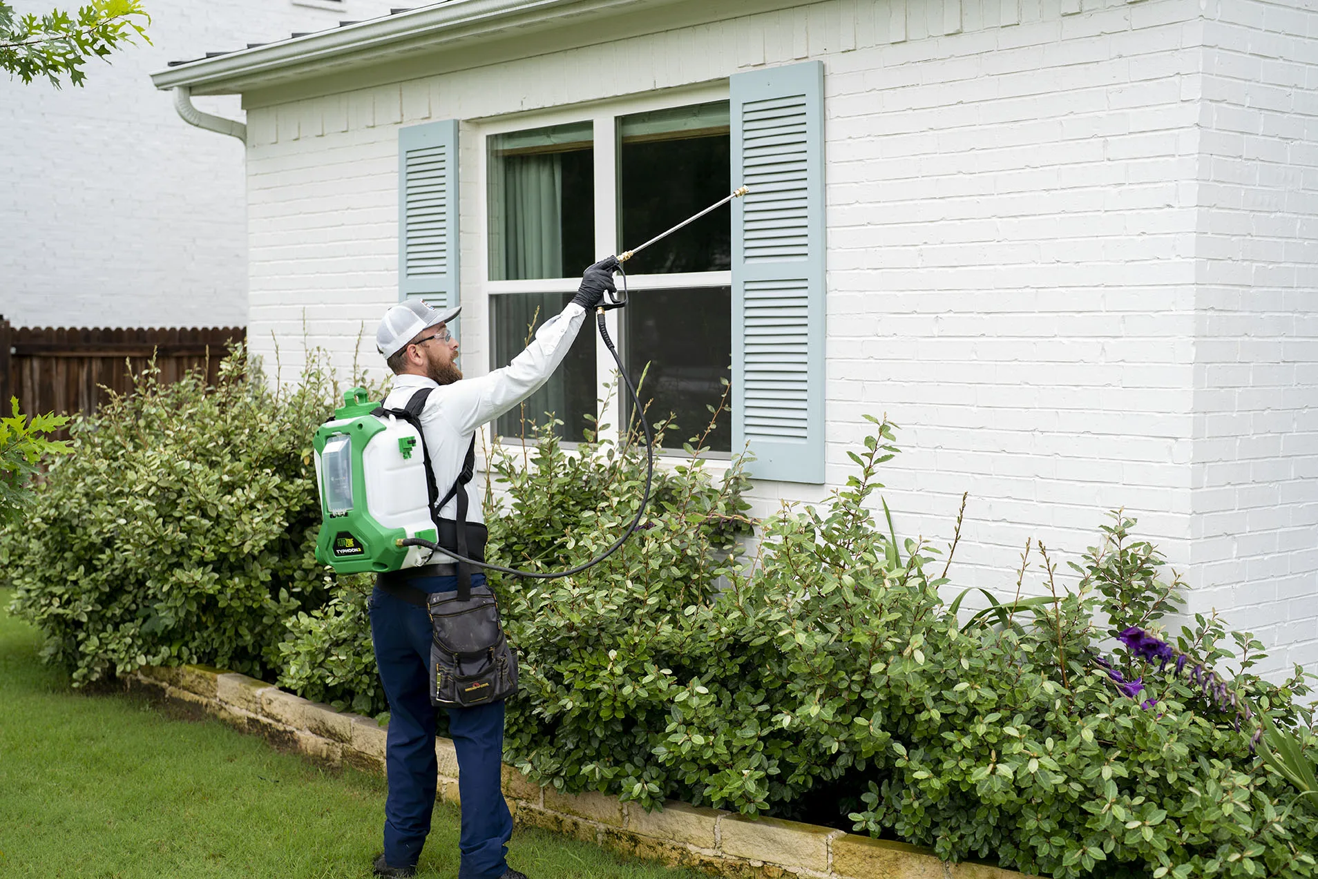 Ant Control Dallas