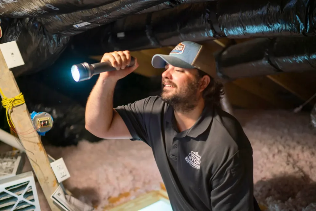 Pest Control Irving