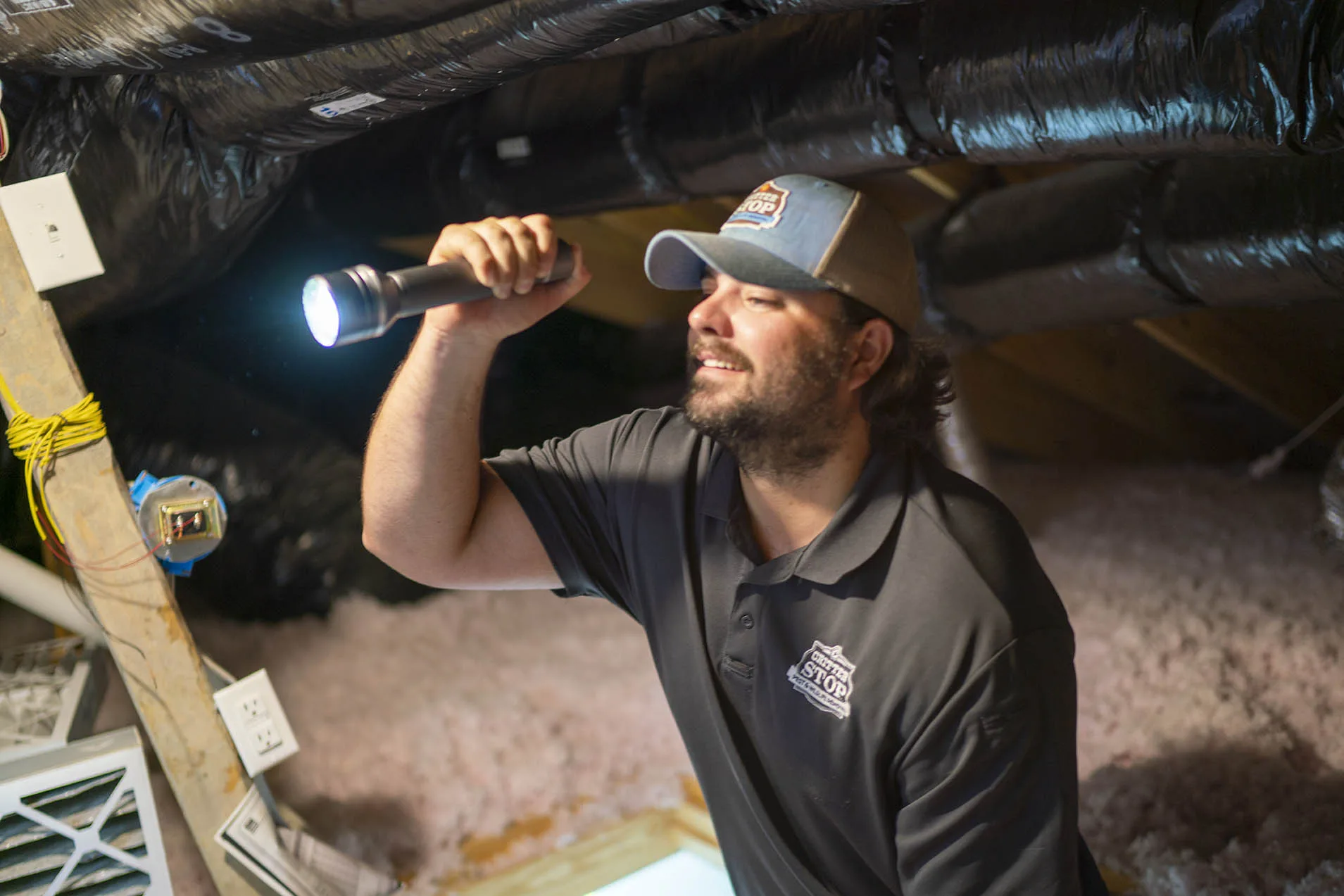 Pest Control Irving
