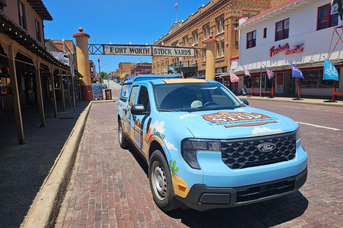 Technician setting wildlife trap