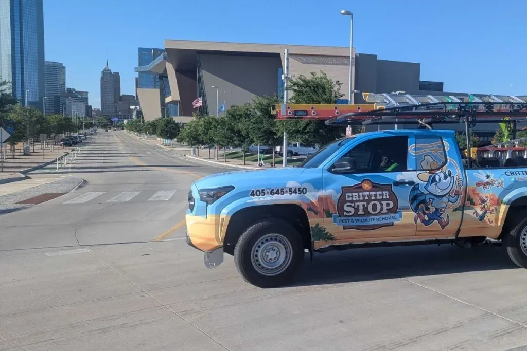 Wildlife Removal Oklahoma City