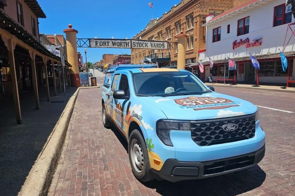 Rat Removal Fort Worth