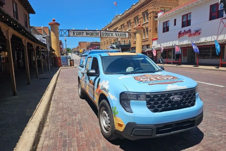 Rat Removal Fort Worth