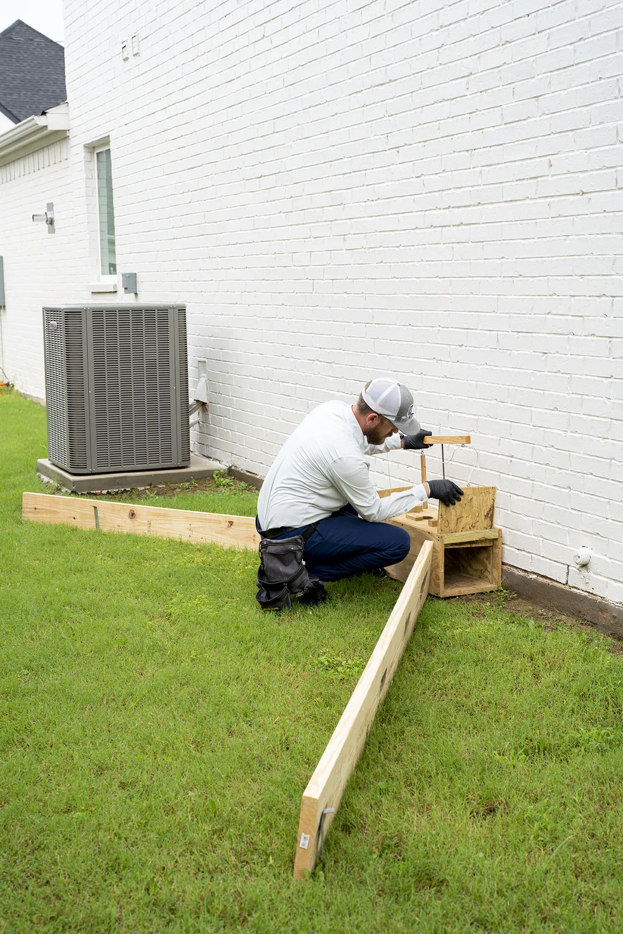 Dallas Raccoon Removal