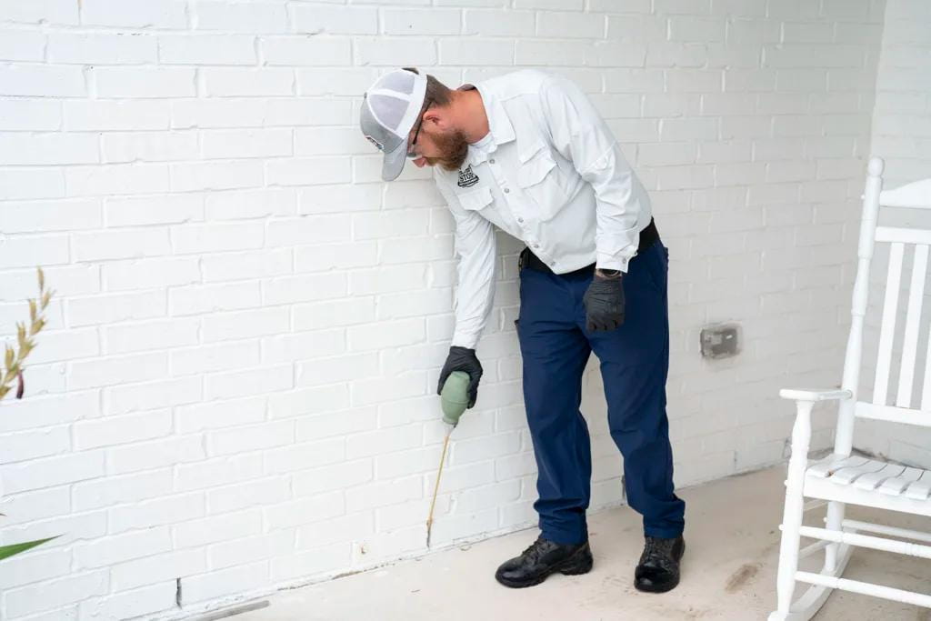 Copy of 30 Pest Control Threatment