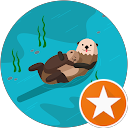 Alyson Torres profile picture