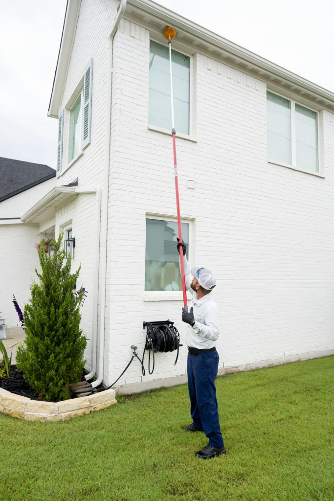 Georgetown Pest Control Services | Critter Stop