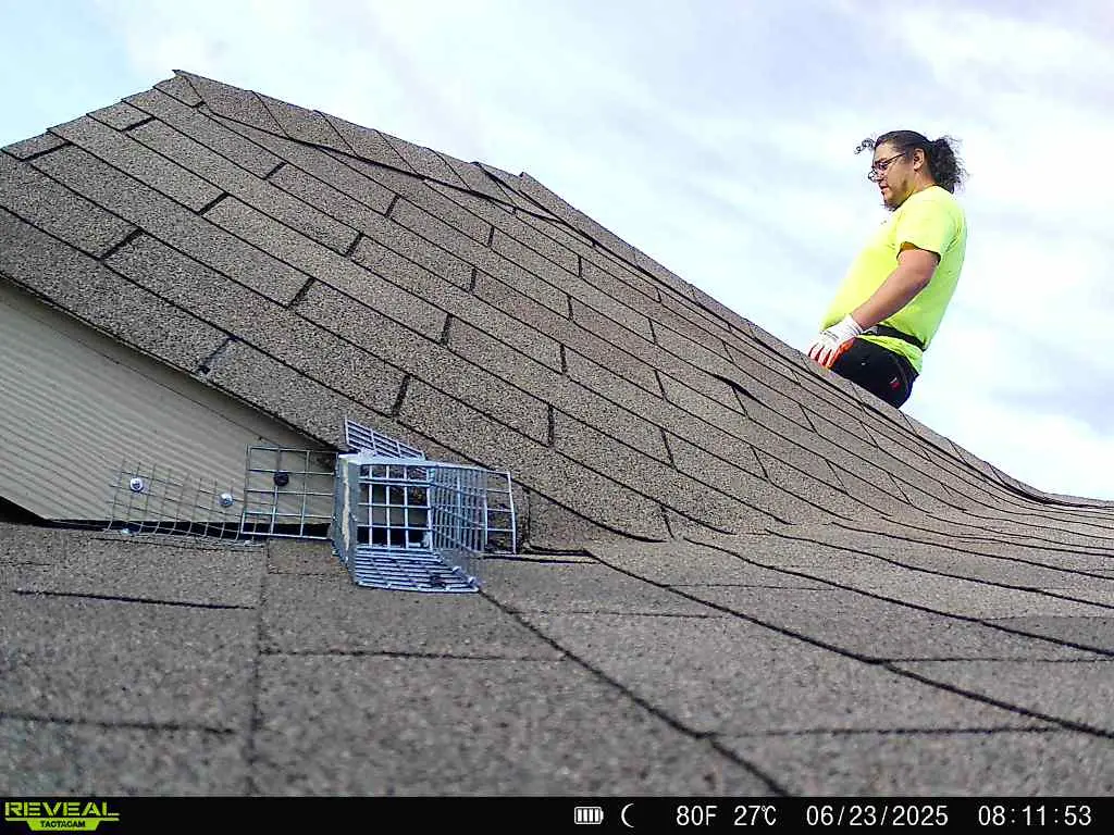 Copy of 348. Roof inspection