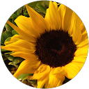 Leslie Larberg profile picture