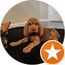 Stephen Spencer profile picture