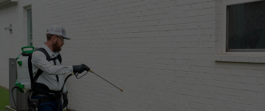 Pest control mckinney texas
