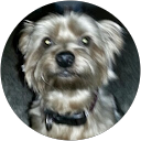 Annette Osburn profile picture