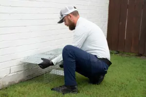 cs-tech-removing-critters