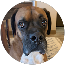 Cannot Beshaken profile picture