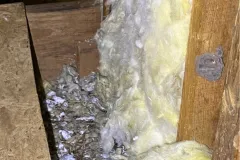 critter-stop-wildlife-removal-foul-odour-1
